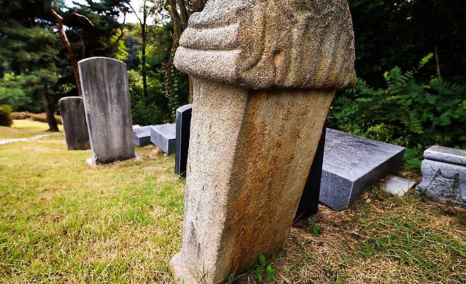 조말생 후손들은 1900년 당시 금곡리에서 전국으로 뿔뿔이 이장됐던 문중 묘들을 하나둘씩 수석동으로 옮겨왔다./박종인 기자