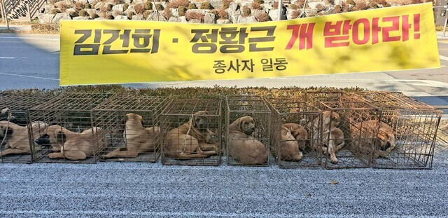 지난달 30일 육견협회가 정부세종청사 앞에 개를 내려놓고 ‘개 식용 금지 특별법’ 제정 반대 목소리를 냈다. 동물권행동 카라 제공