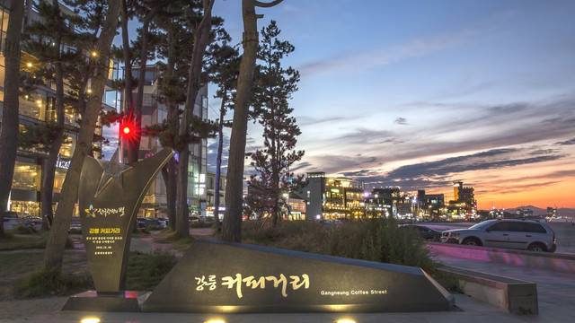 ▲ 강릉커피거리 야경/ 사진제공=강릉시