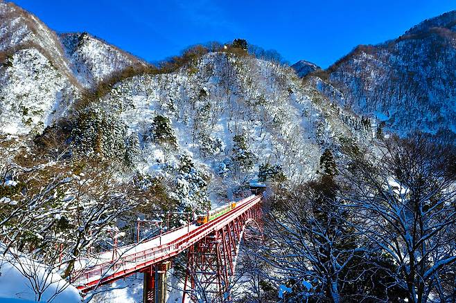 협곡을 달리는 일본 알펜루트 열차