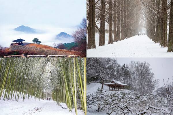 출처: 게티이미지뱅크 (전남 담양 겨울여행)