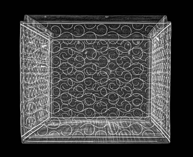 나전국화넝쿨무늬상자 측면 X선 사진. 국립고궁박물관 제공