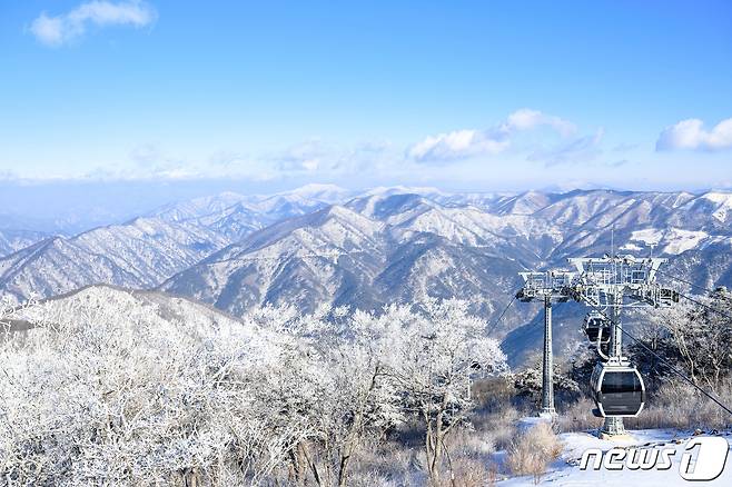 강원 정선 가리왕산에서 바라본 상고대 자료사진. (뉴스1 DB)