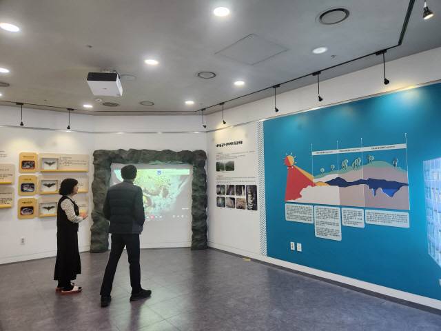 ▲ 영월동굴생태관 방문객들이 ‘대야동굴의 생태계와 동굴생물’ 주제의 기획전을 둘러보고 있다.