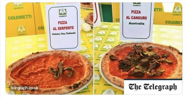 뱀과 캥거루가 토핑으로 올라간 피자 [영국 텔레그래프 엑스(X) 캡처. 재배포 및 DB 금지]