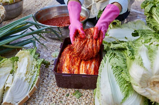 해당 사진은 기사 본문과 관계 없습니다. [게티이미지뱅크]