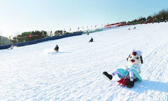 온라인 커뮤니티