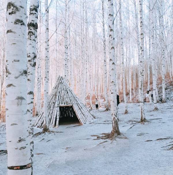 온라인 커뮤니티