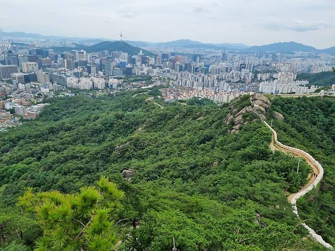 인왕산 정상에서 내려다본 범바위와 도심 전경. 성벽을 따라 오른쪽에 범바위가 보인다. 조선후기 인왕산에는 호랑이가 유독 많이 살았다. -사진/배한철.