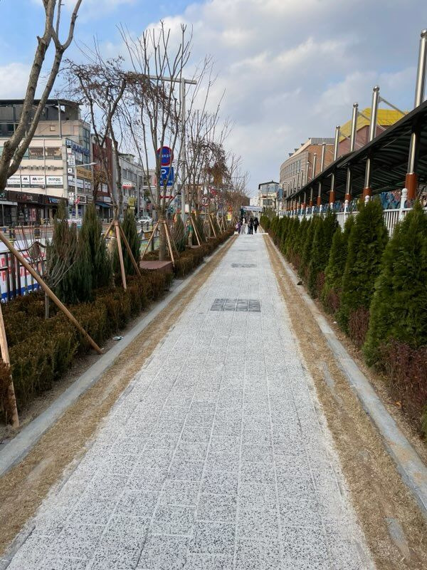 금산군은 안전하고 쾌적한 어린이보호구역 내 등하굣길을 만들기 위해 올해 금산초등학교 통학로에 자녀안심그린숲 조성을 완료했다. 2023. 12. 13  *재판매 및 DB 금지