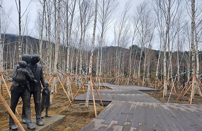 남원 허브산업특구의 자작나무 숲 [남원시 제공]