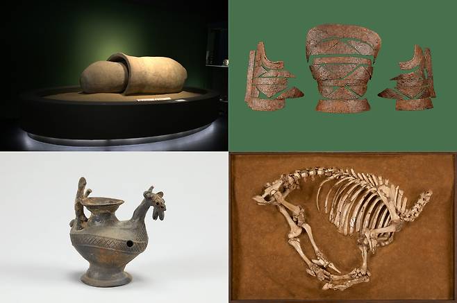 주요 유물  왼쪽 상단부터 시계 방향으로 나주 신촌리 9호분 을관 독널, 신안 배널리 고분 출토 갑옷, 나주 복암리 유적 7호분 소뼈, 상서로운 동물 모양 토기 [국립나주박물관 제공. 재판매 및 DB 금지]