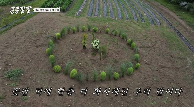 (사진=tvN ‘콩 심은 데 콩 나고 팥 심은 데 팥 난다’ 방송화면)