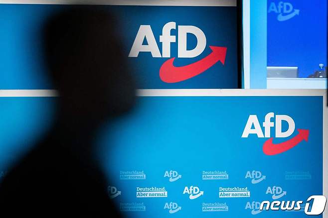 독일의 대표적인 극우 정당 '독일을 위한 대안'(AfD). ⓒ AFP=뉴스1 ⓒ News1 김예슬 기자