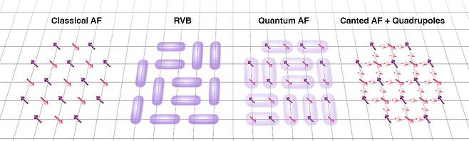 사각격자 위에서 스핀들은 단순한 자기구조(Classical AF) 뿐만 아니라, 양자효과를 통해 단일항 중첩상태(Resonant Valence Bond; RVB) 및 양자 요동 자기구조(Quantum AF) 등의 다양한 상태를 가질 수 있다. 김범준 기초과학연구원(IBS) 원자제어 저차원 전자계 연구단 부연구단장 연구진이 스핀 쌍극자와 사극자가 공존하는 상태(Canted AF + Quadrupoles)를 세계 최초로 직접 관측해냈다./기초과학연구원(IBS)