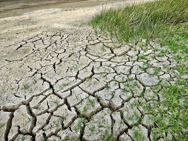 기후변화에 대한 과학자들의 경고에 대한 도덕적 판단을 내려야 할 때이다. 경고를 받아들이면 아무 일도 일어나지 않고, 경고를 무시하면 재난이 닥칠 것이다. 픽사베이