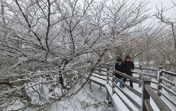 제주 한라산 1100고지 습지를 찾은 관광객들이 눈쌓인 탐방로를 걸어가고 있다. [사진=뉴시스]