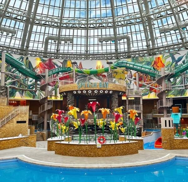 온라인 커뮤니티