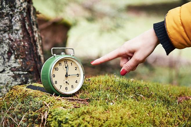 게티이미지뱅크