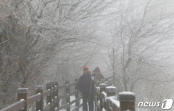 제주 한라산에 10㎝ 넘는 눈이 쌓인 13일 오전 한라산국립공원 1100고지 습지에서 탐방객들이 발걸음을 옮기고 있다. 2023.11.13/뉴스1 ⓒ News1 오현지 기자