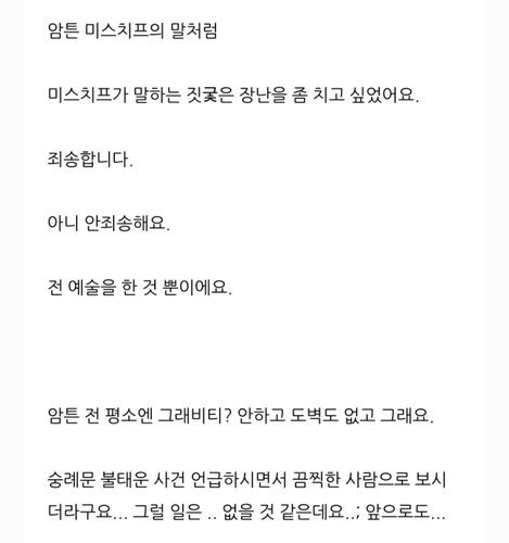 숭례문 담벼락 낙서 모방범 A씨가 블로그에 올린 게시물 중 일부ⓒ블로그 캡처