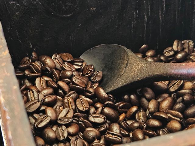 고소하게 로스팅 된 커피콩에 윤기가 흐른다.