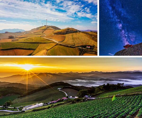 온라인 커뮤니티