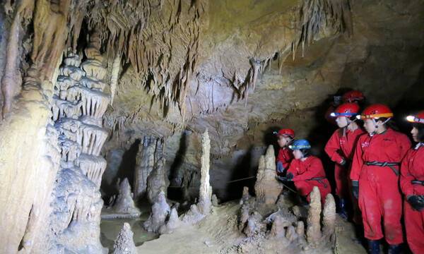 온라인 커뮤니티