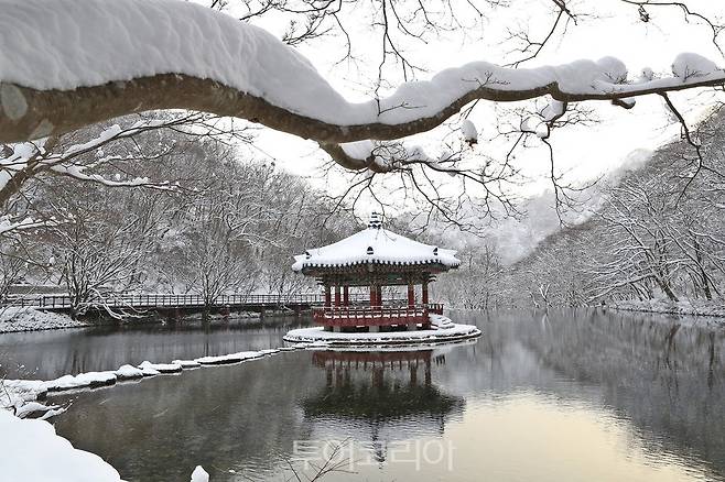 정읍 내장산 설경 /사진-정읍시