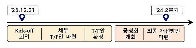 금융감독원 IPO주관업무 혁신 작업반 향후 계획 / 자료=금융감독원 제공