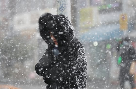 올겨울 최강 한파가 몰아치는 21일 오전 제주시 용담동 거리에 많은 눈이 내리고 있다. 뉴시스