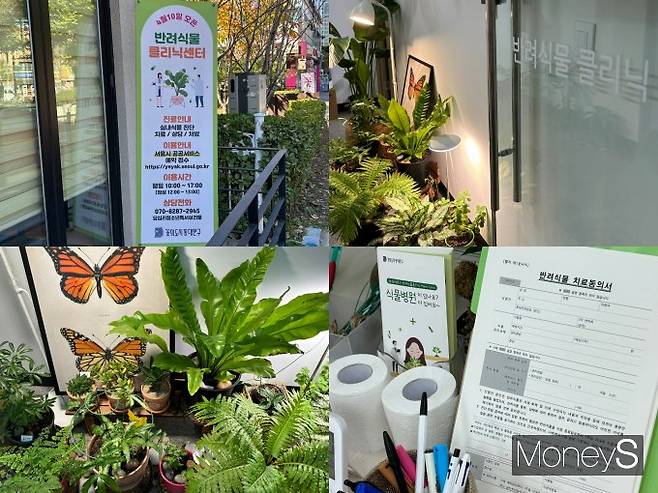 사진은 동대문구 반려식물 클리닉 센터의 내외부. 진료실 내에는 반려식물 치료동의서가 비치돼 있다. /사진=윤지영 기자