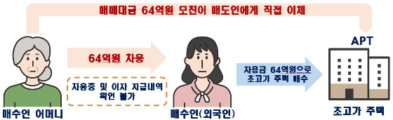 국토부가 공개한 특수관계인간 편법증여 의심 사례. /인포그래픽 제공=국토부