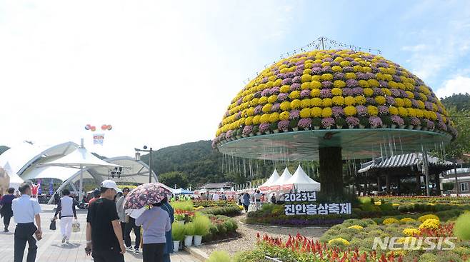 [진안=뉴시스] 김얼 기자 = 2023 진안 홍삼축제 개막일인 22일 전북 진안군 마이산 북부 일원에 대형 조형물이 아름답게 꾸며져 있다. 2023.09.22. pmkeul@nwsis.com