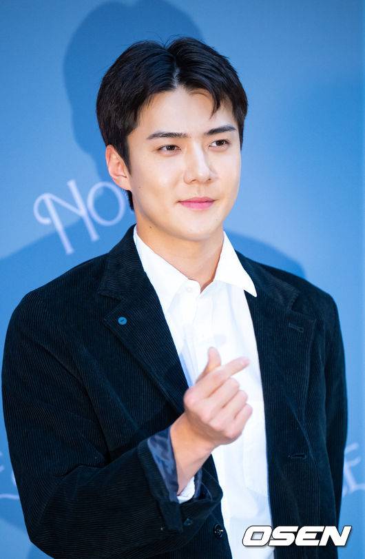 [OSEN=민경훈 기자]엑소 세훈이 포토월에서 포즈를 취하고 있다. 2023.09.14 /rumi@osen.co.kr