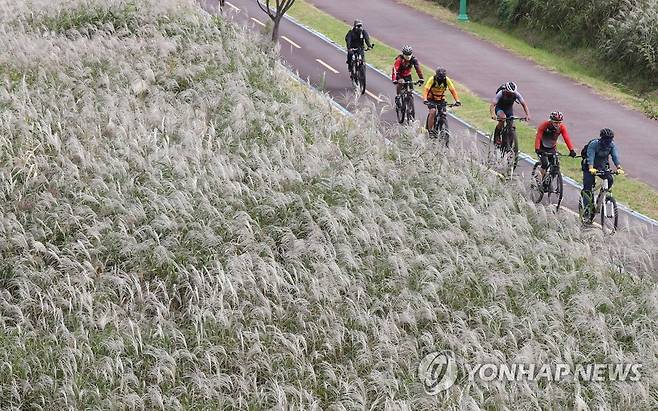 태화강변 자전거도로 달리는 자전거 [연합뉴스 자료사진]
