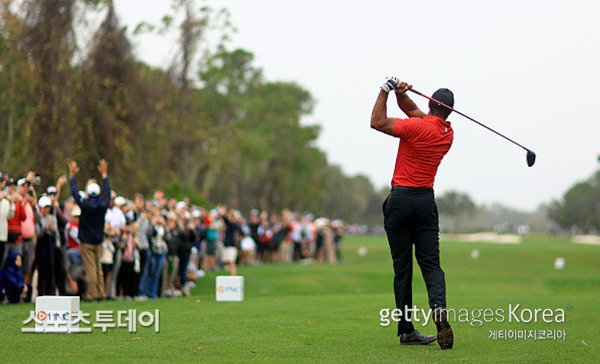 타이거 우즈 / 사진 = GettyImages 제공