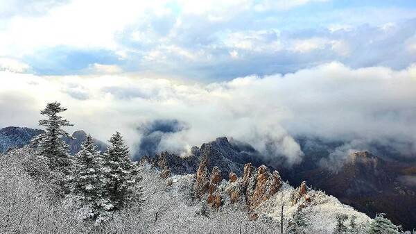 온라인 커뮤니티