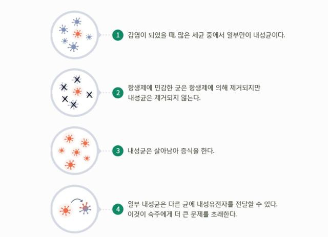 내성균 발생 과정. 질병관리청