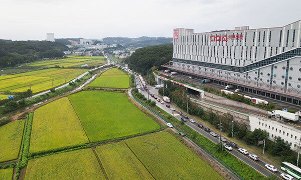 경기 용인시 처인구의 한 도로에서 차량들이 정체돼 있다. 용인시 제공