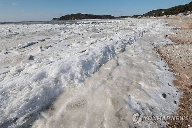 매서운 한파에 바다도 '꽁꽁' (인천=연합뉴스) 김인철 기자 = 올겨울 최강 한파가 절정에 이른 22일 인천 중구 마시안해변 앞바다가 꽁꽁 얼어 붙어있다. 2023.12.22 yatoya@yna.co.kr