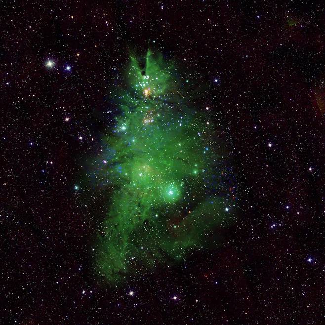 크리스마스트리 성단 NGC 2264 [NASA 제공. 재판매 및 DB 금지]