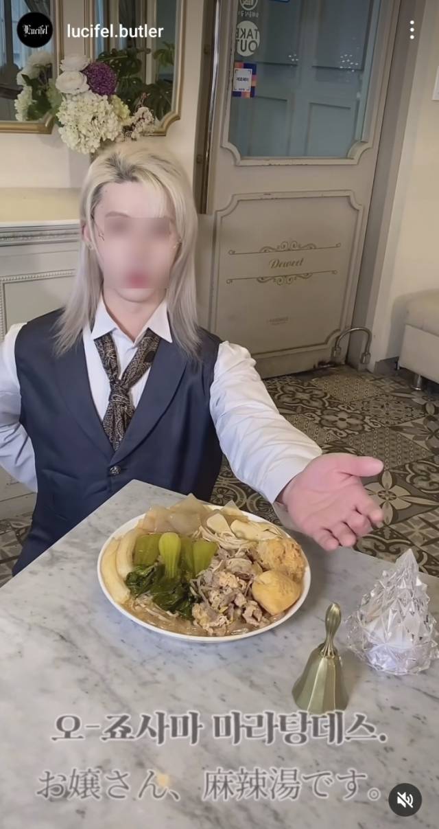 국내 첫 집사카페의 인스타그램 홍보 영상. 인스타그램 캡처