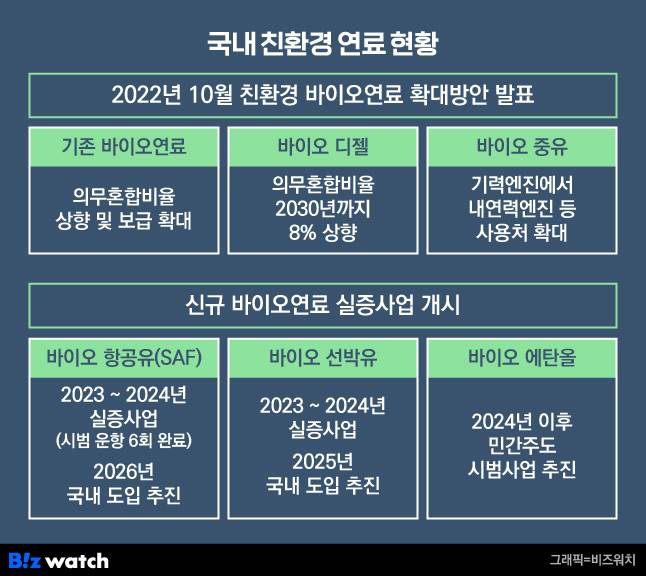 국내 친환경 연료 현황./그래픽=비즈워치