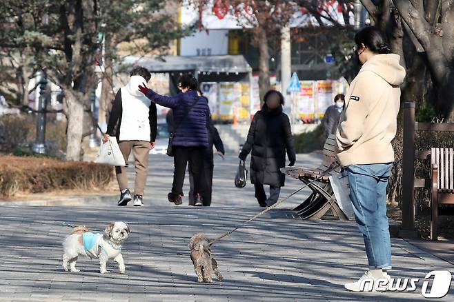 한파가 주춤하고 포근한 날씨가 이어진 26일 대구 달서구 월성공원에서 시민들이 반려견과 함께 산책하고 있다. /사진=뉴스1