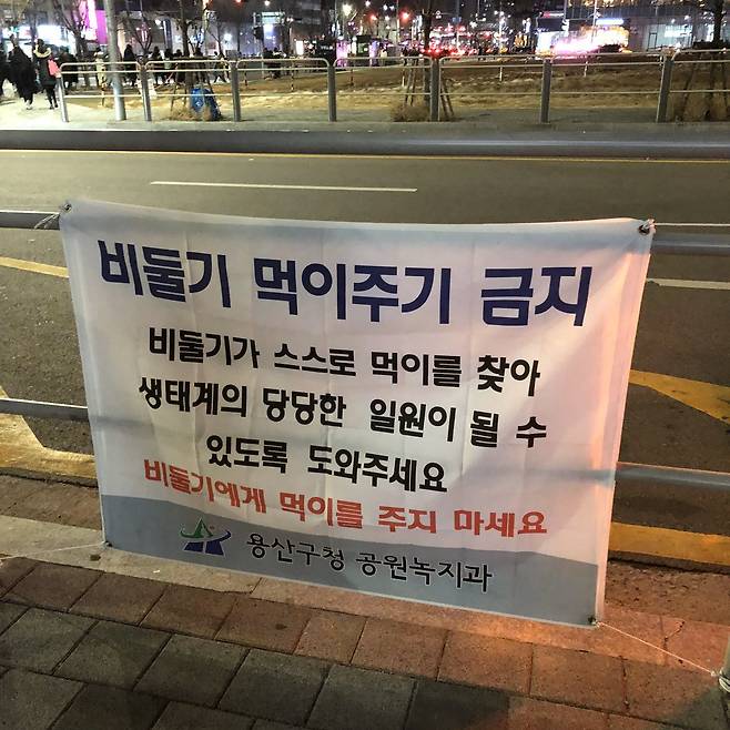 비둘기 먹이를 주지 말라는 내용의 현수막 [X(옛 트위터]