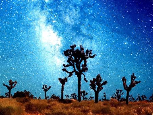 온라인 커뮤니티