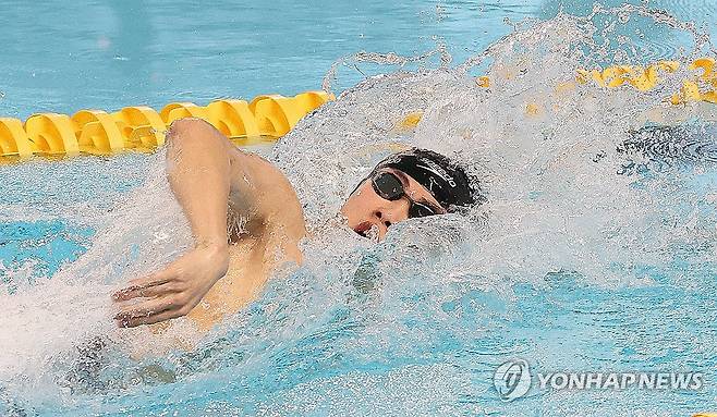 역영하는 황선우 (김천=연합뉴스) 윤관식 기자 = 황선우(강원도청)가 27일 경북 김천실내수영장에서 열린 2024 수영 국가대표 선발대회 남자 자유형 200m 결승에서 역영하고 있다. 2023.11.27 psik@yna.co.kr