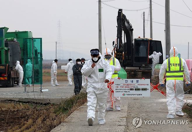 전남 무안 오리농장에서 AI 항원 검출 (무안=연합뉴스) 조남수 기자 = 6일 전남 무안군 일로읍 한 육용오리농장에서 AI(H5형) 항원이 검출돼 방역당국 관계자들이 분주히 움직이고 있다. 2023.12.6 iso64@yna.co.kr