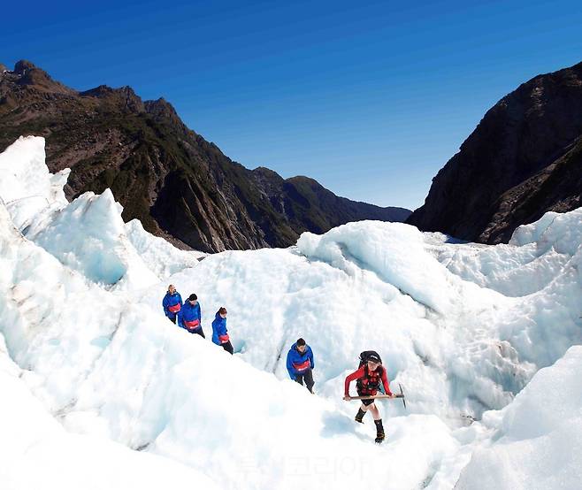  프란츠조셉빙하에서의 헬리하이킹 ⓒFRANZ JOSEF GLACIER GUIDES 